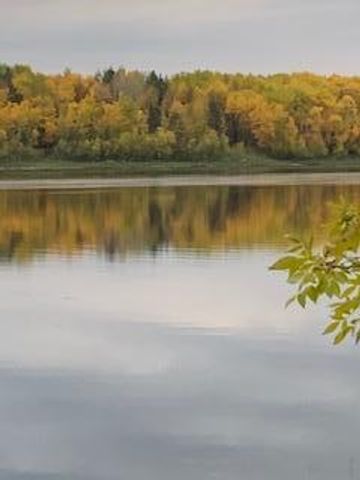11777 State Highway 11 SE, Baudette, MN 56623