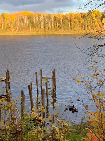 11777 State Highway 11 SE, Baudette, MN 56623