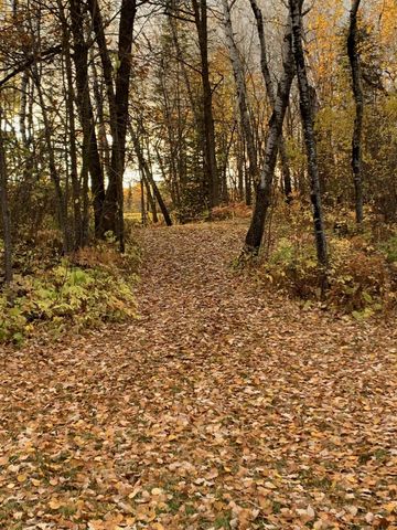 11777 State Highway 11 SE, Baudette, MN 56623