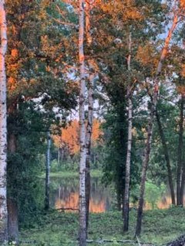 11777 State Highway 11 SE, Baudette, MN 56623