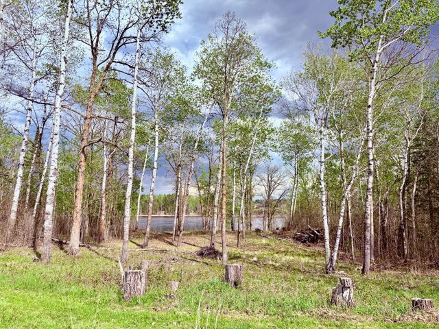 11777 State Highway 11 SE, Baudette, MN 56623