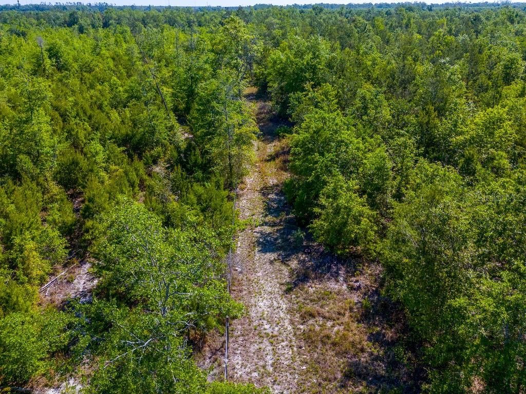 Image 27 of property listing at 1147 SE HAMMERLY STREET, Madison, FL 32340