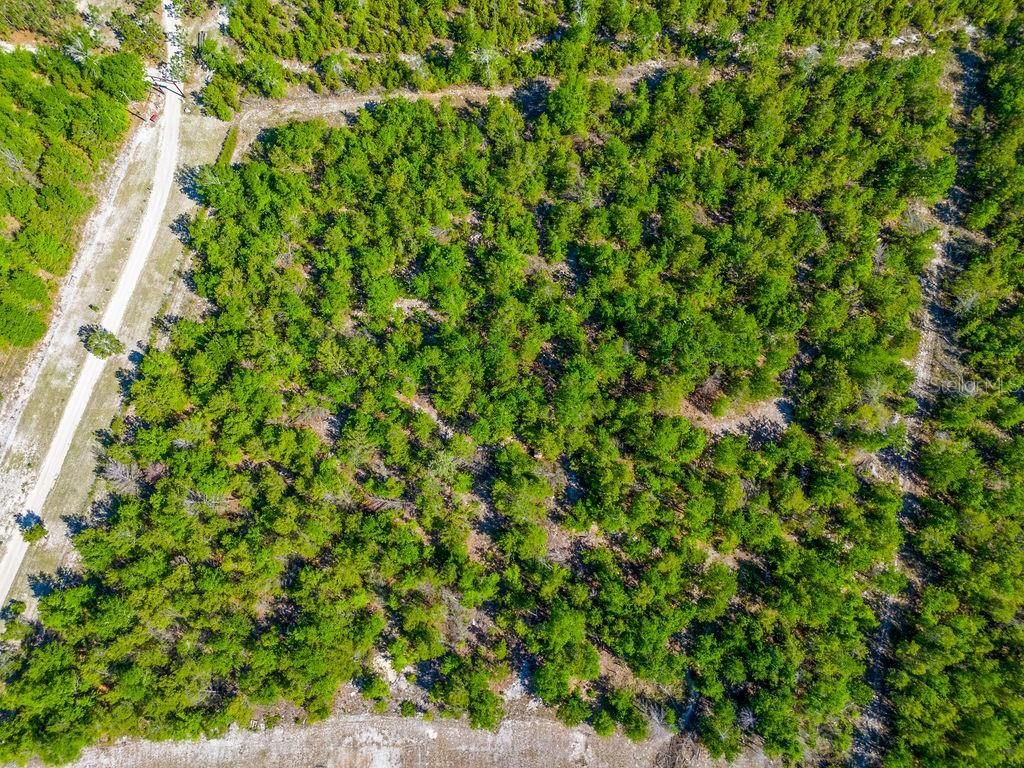 Image 29 of property listing at 1147 SE HAMMERLY STREET, Madison, FL 32340