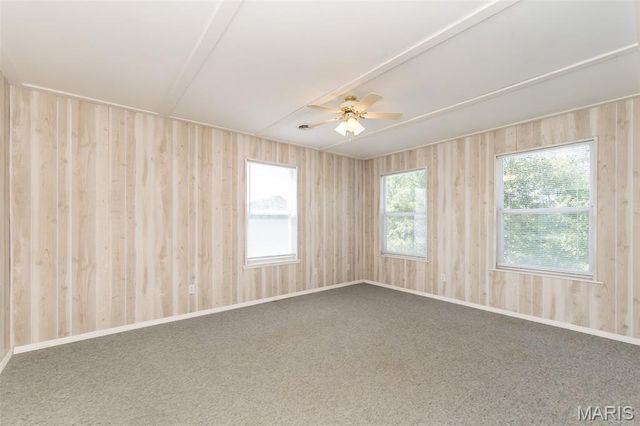 8124 Ems Crossing Lane, Hillsboro, MO 63050