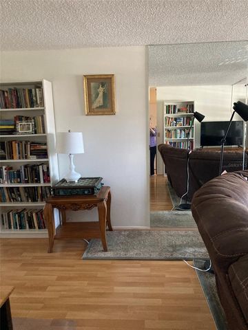 5980 TERRACE PARK DRIVE N 203, St Petersburg, FL 33709