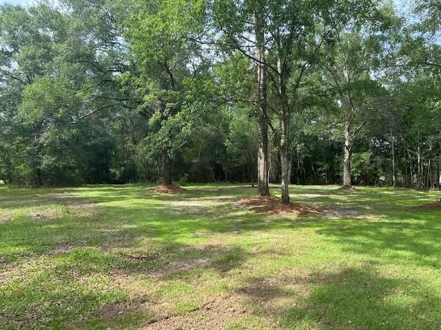 13580 Laco Cooper Road, Wilmer, AL 36587