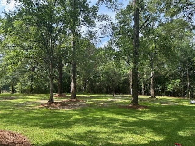 13580 Laco Cooper Road, Wilmer, AL 36587