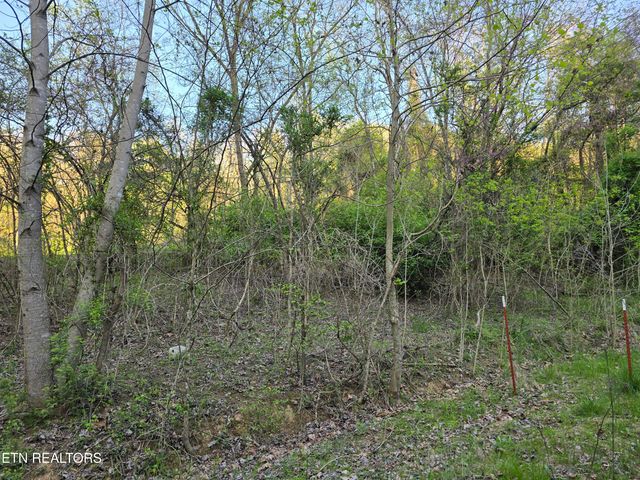 2.75 ACRES BOATMANS MOUNTAIN Rd, Morristown, TN 37814