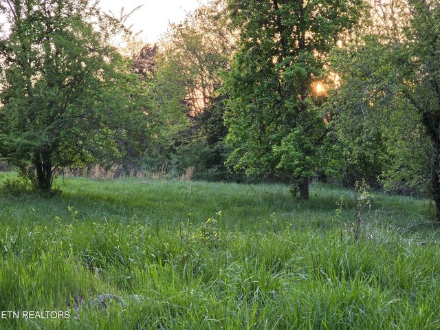 2.75 ACRES BOATMANS MOUNTAIN Rd, Morristown, TN 37814