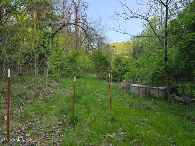 2.75 ACRES BOATMANS MOUNTAIN Rd, Morristown, TN 37814