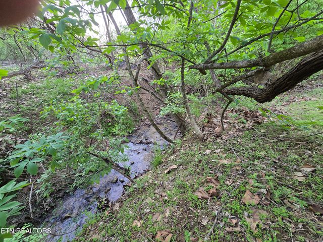 2.75 ACRES BOATMANS MOUNTAIN Rd, Morristown, TN 37814