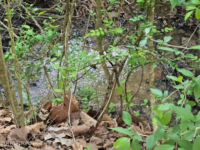 2.75 ACRES BOATMANS MOUNTAIN Rd, Morristown, TN 37814