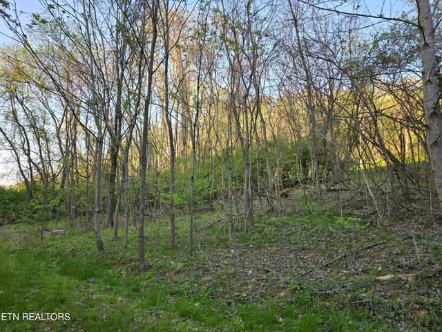 2.75 ACRES BOATMANS MOUNTAIN Rd, Morristown, TN 37814