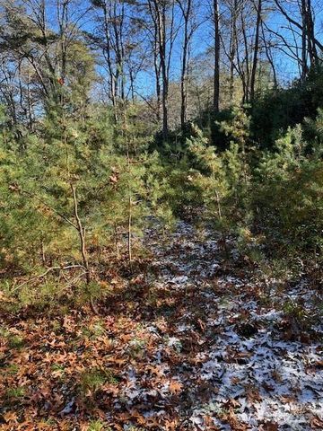 TBD Kitchen Loop Road, Lake Toxaway, NC 28747