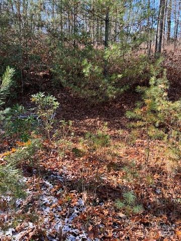 TBD Kitchen Loop Road, Lake Toxaway, NC 28747