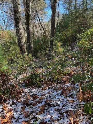 TBD Kitchen Loop Road, Lake Toxaway, NC 28747