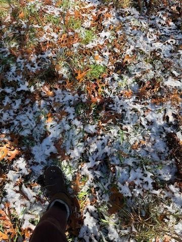 TBD Kitchen Loop Road, Lake Toxaway, NC 28747