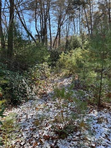 TBD Kitchen Loop Road, Lake Toxaway, NC 28747