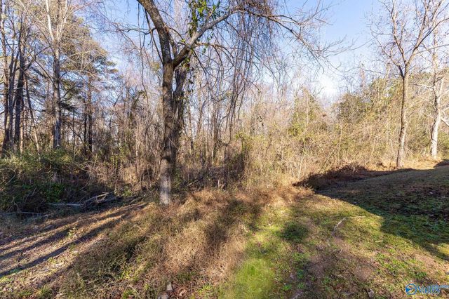 842 Friendship Road, Somerville, AL 35670