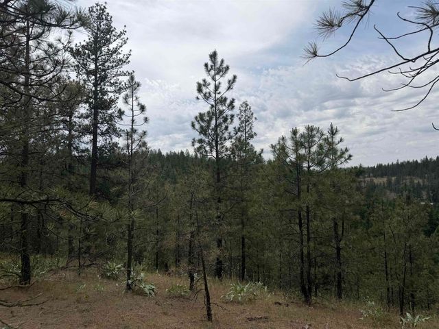 20xxx N Brooks Rd, Spokane, WA 99224