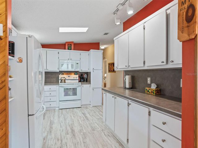 928 OLEANDER STREET, The Villages, FL 32159