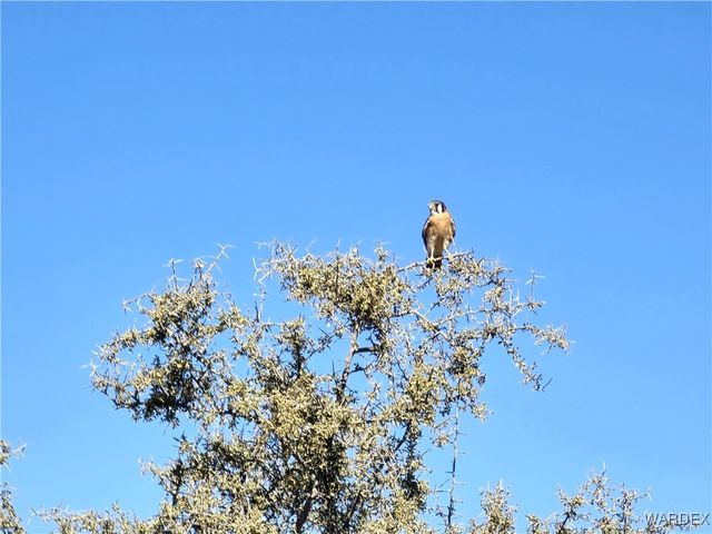 6671 W Brook Drive, Golden Valley, AZ 86413