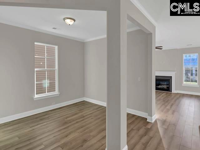 517 Frosty Lane, Lexington, SC 29072