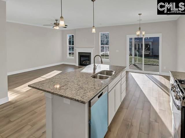517 Frosty Lane, Lexington, SC 29072