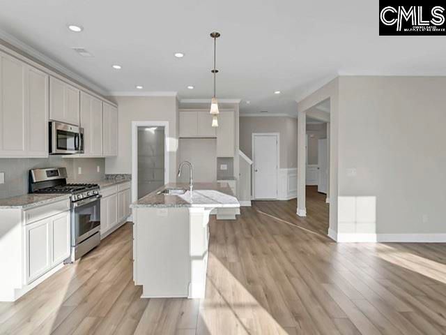 517 Frosty Lane, Lexington, SC 29072