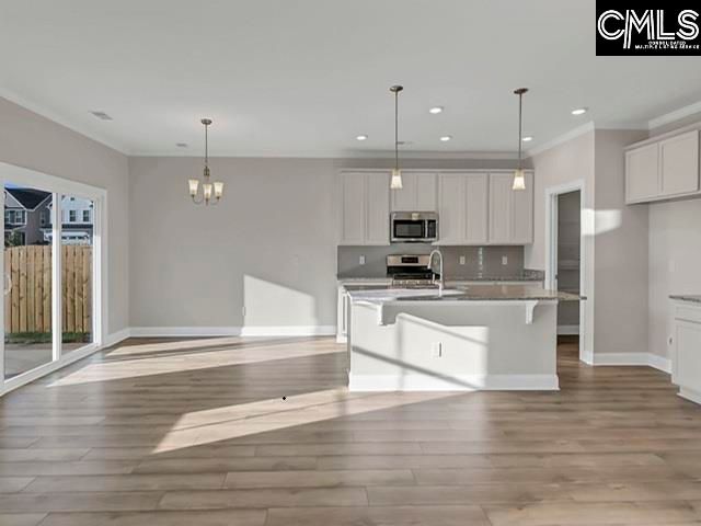 517 Frosty Lane, Lexington, SC 29072