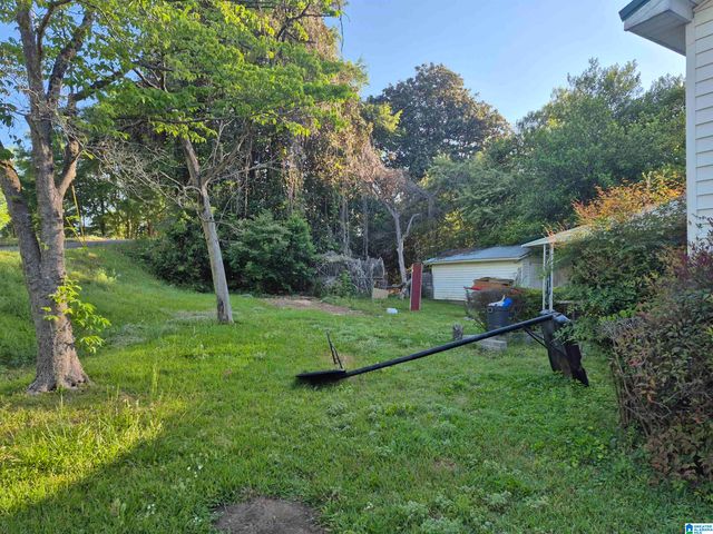 810 PEACHTREE STREET, Roanoke, AL 36274