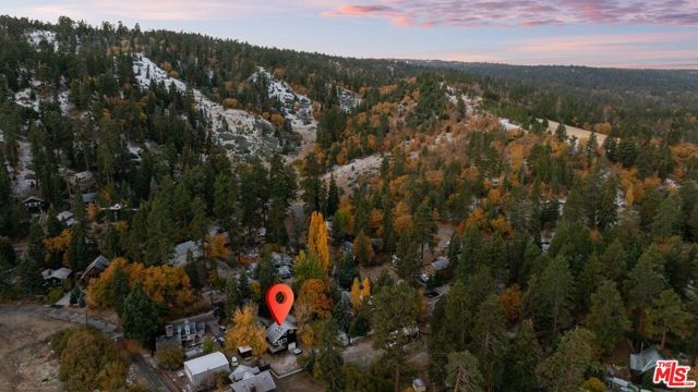 993 Cameron Drive, Big Bear City, CA 92315
