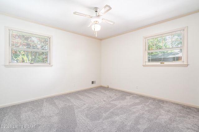 4016 White Plains Ct, Louisville, KY 40218