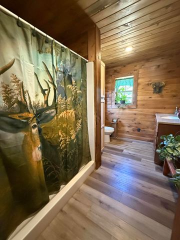 491 S Missouri 95, Mountain Grove, MO 65711