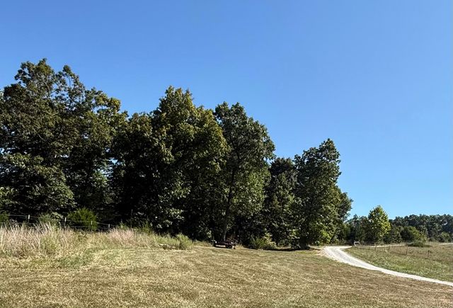 491 S Missouri 95, Mountain Grove, MO 65711