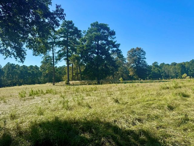 TBD Lakeland Ranch Lot 278, Hillister, TX 77624