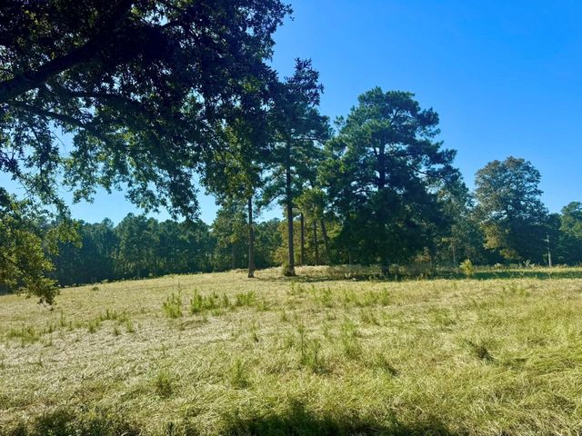 TBD Lakeland Ranch Lot 278, Hillister, TX 77624