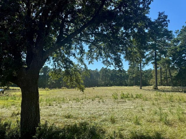 TBD Lakeland Ranch Lot 278, Hillister, TX 77624