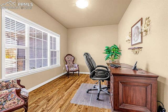 639 Burke Hollow Drive, Monument, CO 80132