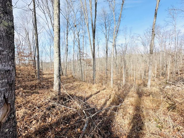 111 Sycamore Road, London, KY 40741