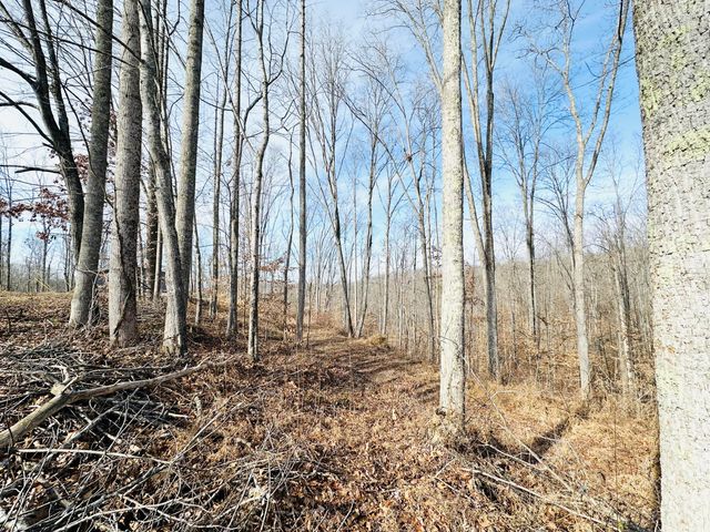 111 Sycamore Road, London, KY 40741