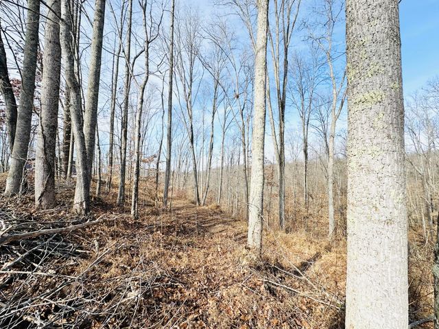 111 Sycamore Road, London, KY 40741