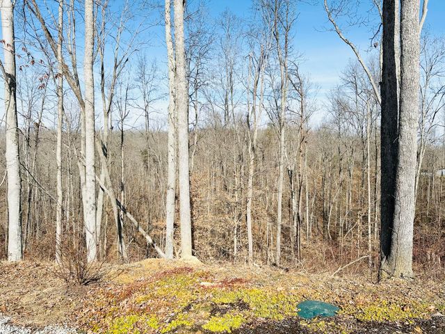 111 Sycamore Road, London, KY 40741