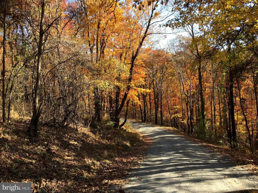 LOT D45-49, Stanley, VA 22851