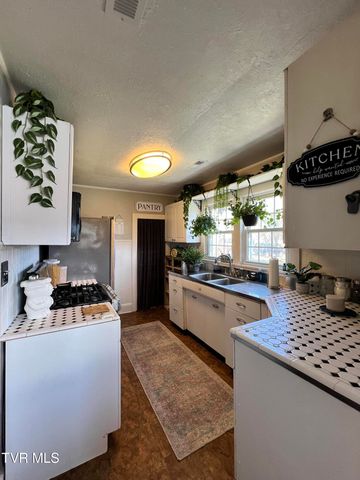 424 Bay Street, Mount Carmel, TN 37645