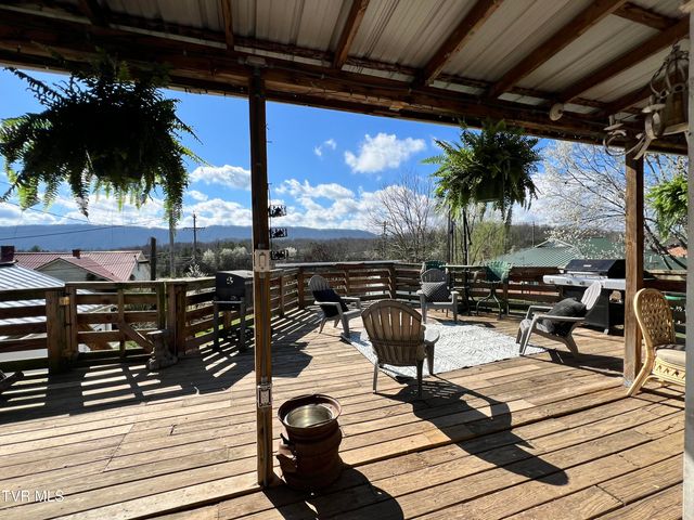 424 Bay Street, Mount Carmel, TN 37645