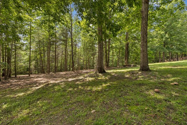 7555 County Line Rd, Fairview, TN 37062