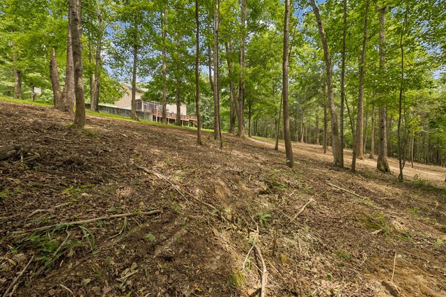7555 County Line Rd, Fairview, TN 37062