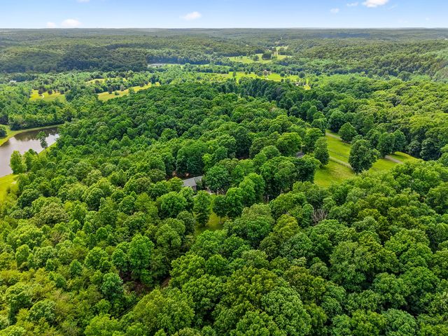 7555 County Line Rd, Fairview, TN 37062