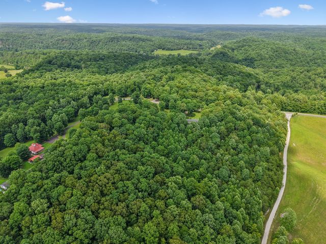 7555 County Line Rd, Fairview, TN 37062